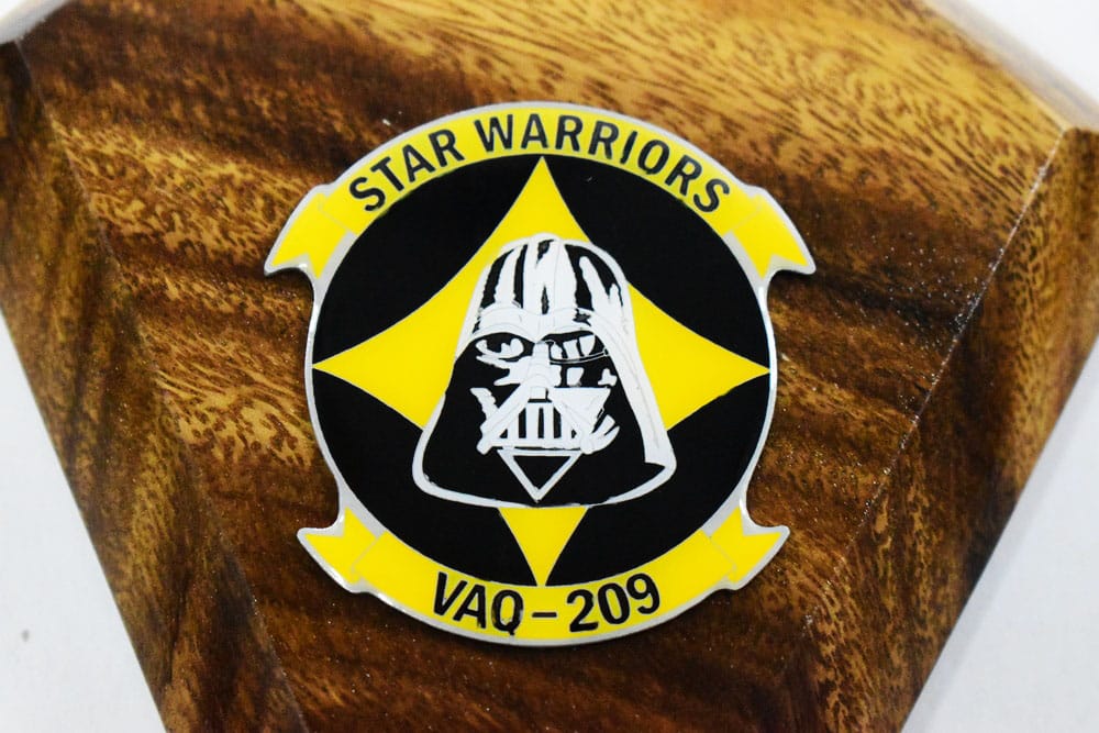 VAQ-209 Star Warriors EA-18G Model