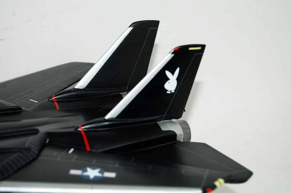 VX-4 Evaluators F-14 Model
