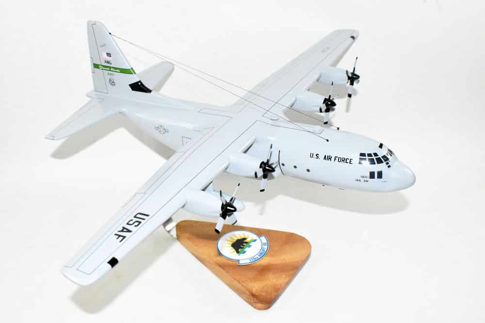 115th Airlift Squadron C-130E