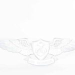 Enlisted Aviation Warfare Specialist EAWS Wings
