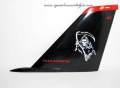 VF-101 Grim Reapers F-14 Tomcat Tail