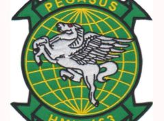 HMH-463 Pegasus Patch – Plastic Backing