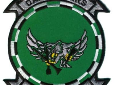 VFA-195 Dambusters Squadron Patch – Plastic Backing