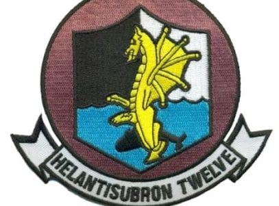 HS-12 Wyverns Squadron Patch – Plastic Backing