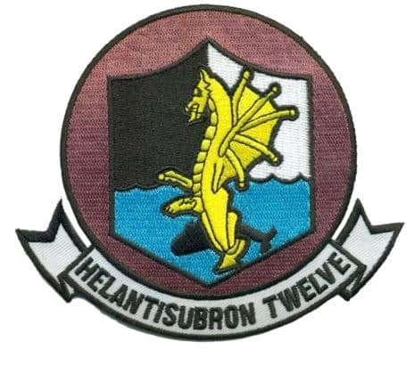 HS-12 Wyverns Squadron Patch – Plastic Backing