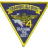 US Navy Training Wing-4 Full Color Patch – Plastic Backing