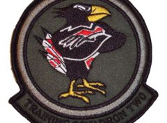 VT-2 Doerbirds (Green) Squadron Patch– Plastic Backing