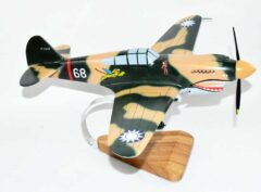 Curtiss P-40 Warhawk (P8268) Model
