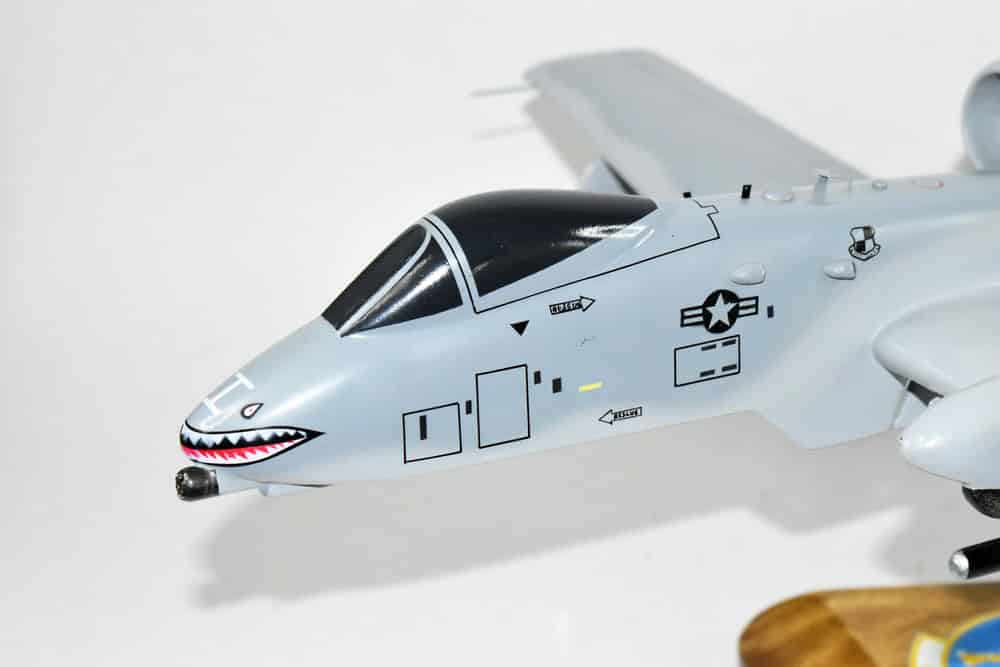 81st Fighter Squadron A-10 Model