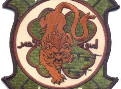VMM-363 Red Lions Desert Squadron Patch –Sew On