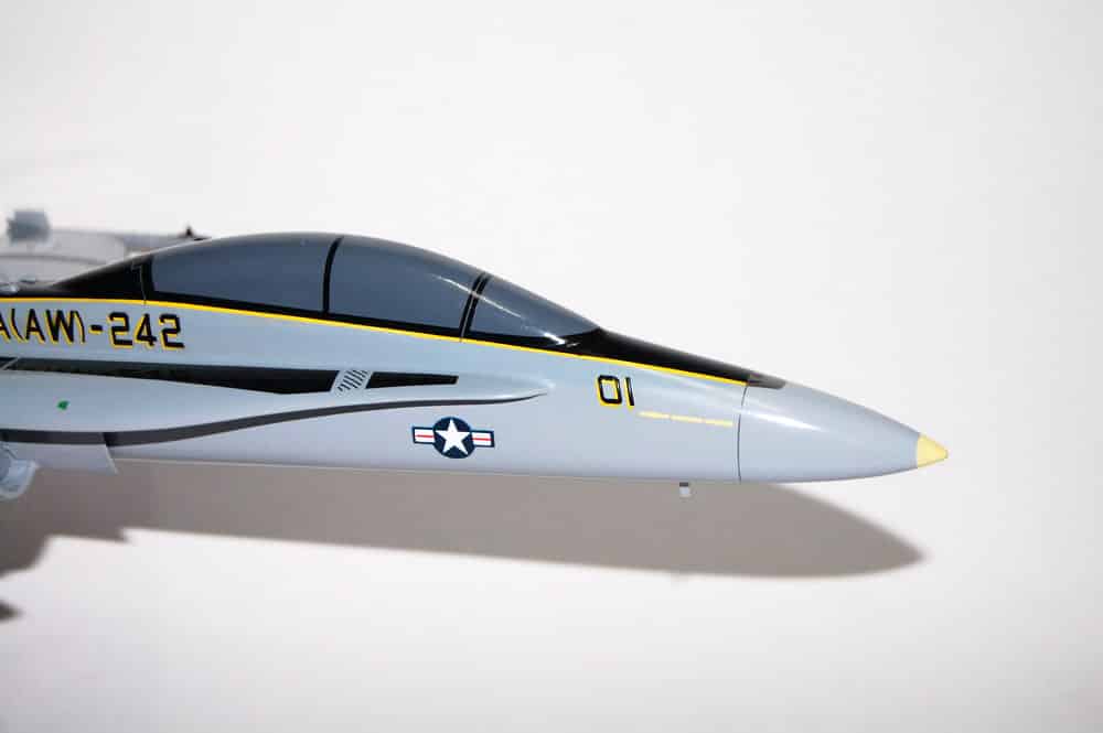 VMFA(AW)-242 Bats (2020) F/A-18D Model