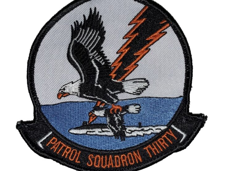 VP-30 Pro's Nest Squadron Patch – Sew On