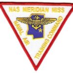 NAS Meridian Patch – Sew On