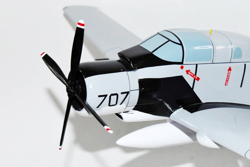 VAW-13 Zappers EA-1F Model