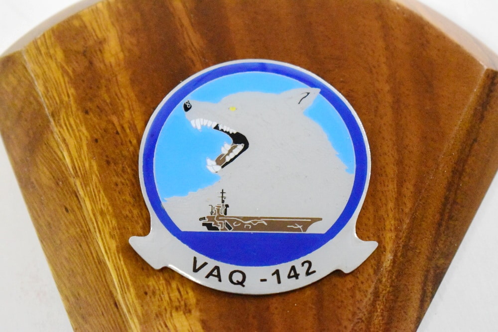 VAQ-142 Gray Wolves 2016 EA-18G Growler Models