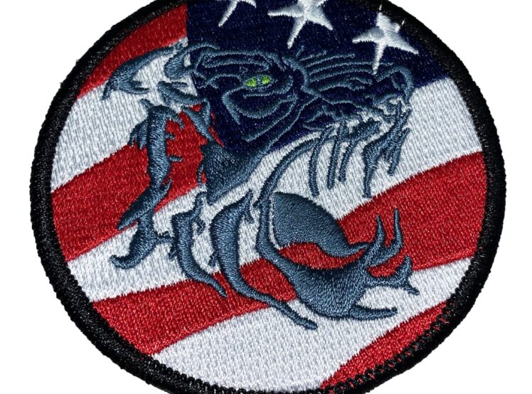 HSM-73 Battle Cats American Flag Patch – Sew On