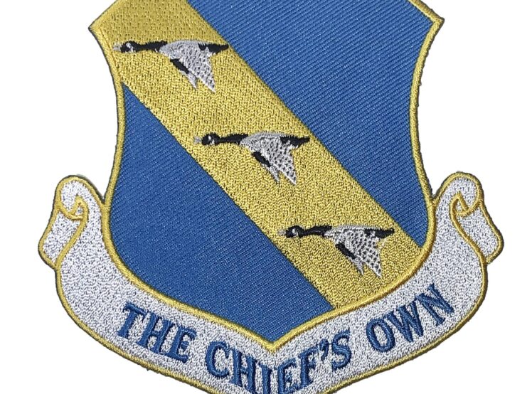 11th Wing Patch