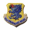 81st Training Wing Patch – Plastic Backing