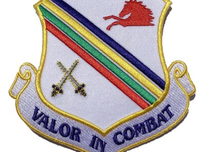 Valor in Combat 354th Fighter Wing Patch – Plastic Backing