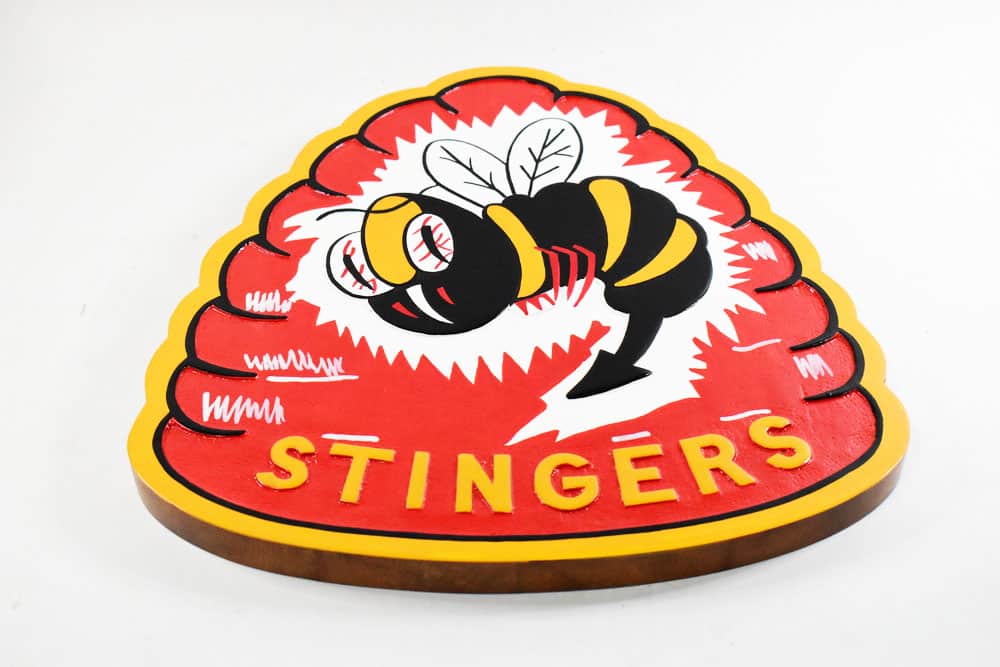 VFA-113 Stingers Plaque