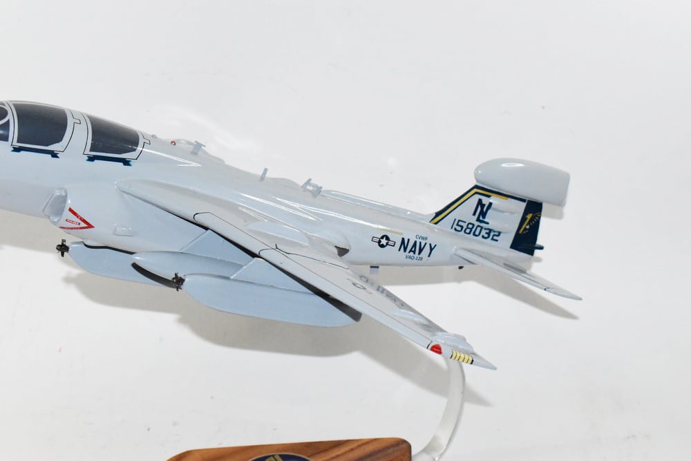 VAQ-128 'Fighting Phoenix' 2003 EA-6b Model