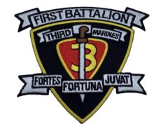 1st Bn 3rd Marines Patch- Plastic Backing