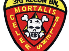 3rd Recon Bn Patch