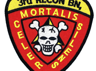 3rd Recon Bn Patch