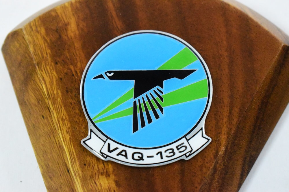 VAQ-135 Black Ravens 2021 EA-18G Growler Model