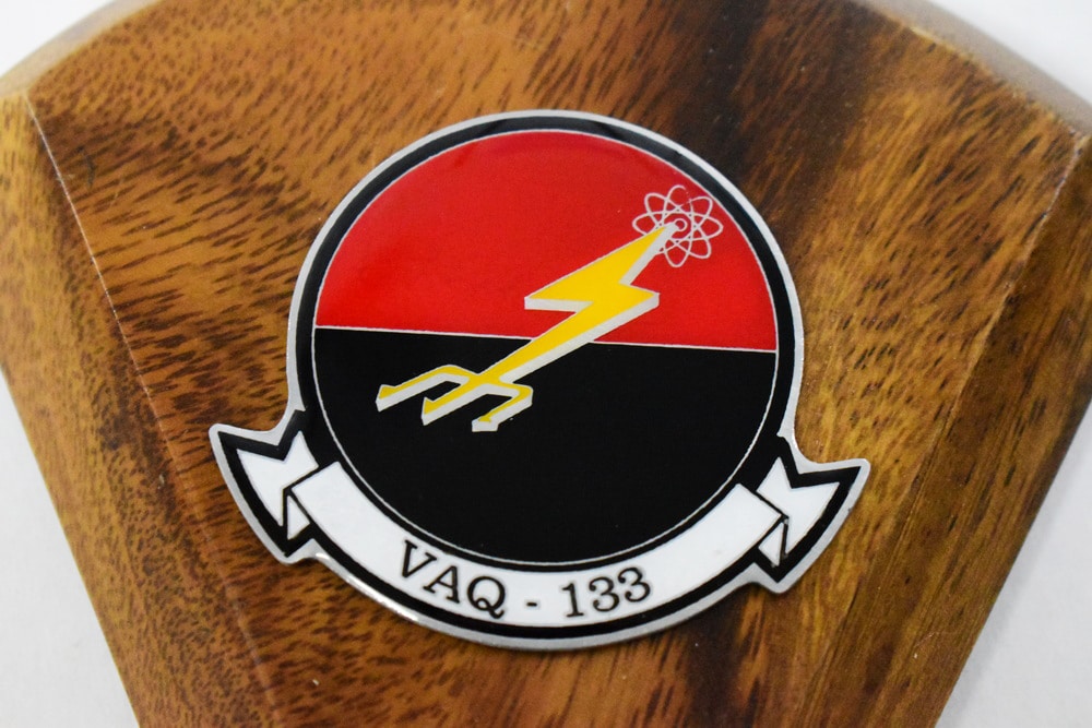 VAQ-135 Black Ravens 2021 EA-18G Growler Model