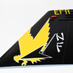 VFA-115 Eagles F/A-18E (2019) Tailflash