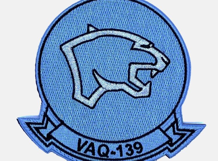 VAQ-139 Carolina Blue Throwback Patch – With Hook and Loop, 4"