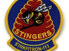 VFA-113 Stingers Patch
