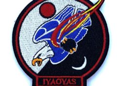 VMM-263 Thunder Chickens IYAOYAS Ordie Patch – Sew On, 3"