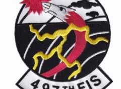 497th FIS Patch