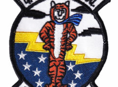 498th FIS Squadron Patch