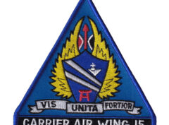 Carrier Air Wing 15 CVW-15 Patch