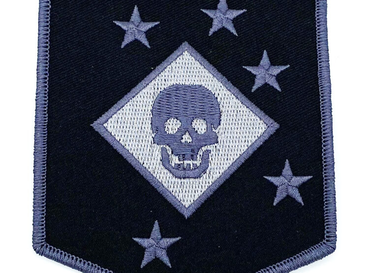 Raider Battalion Black and Grey Patch – With Hook and Loop, 4"