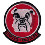 313th Tactical Fighter Squadron Patch
