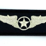 Wings Patch - Sew on, 3"