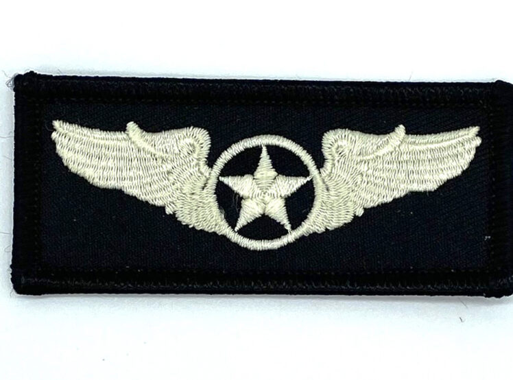 Wings Patch - Sew on, 3"