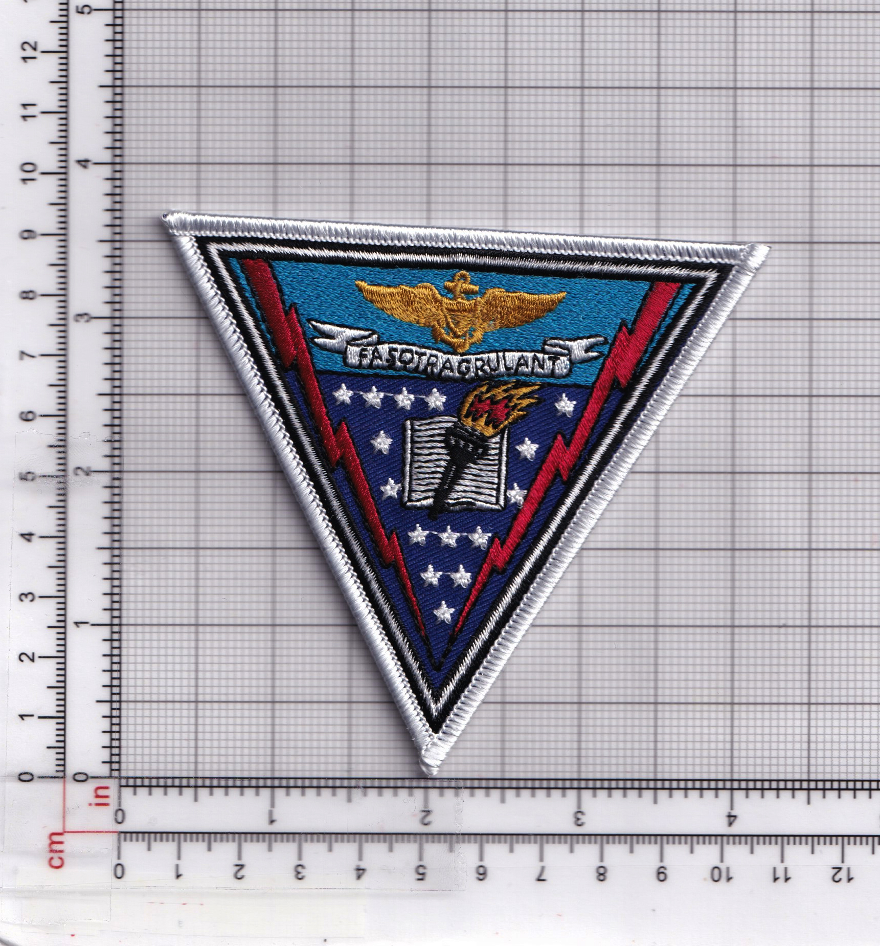 FASOTRAGRULANT Patch, 4 inches, Hook and Loop - Squadron Nostalgia