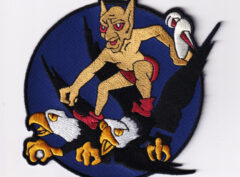 339th Flight Test Squadron WWII Patch