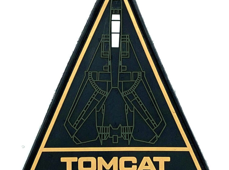 F-14 Tomcat_PVC_Triangle_4in copy