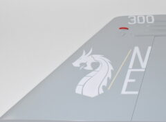 VFA-192 Golden Dragons 2019 F/A-18 Tailflash, Navy, 20", Mahogany, Fighter/Attack