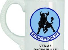 VFA-37 Ragin Bulls Stein